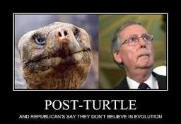 MITCH MCCONNELL - TURTLE MAN