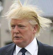 DONALD TRUMP - HAIR BLOWN BY WIND
