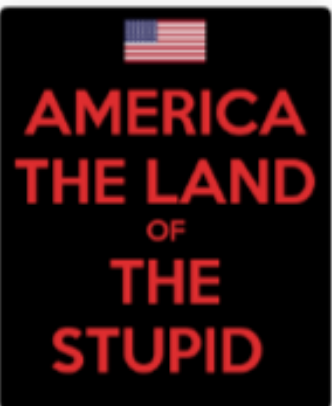 AMERICA - THE LAND OF THE STUPID